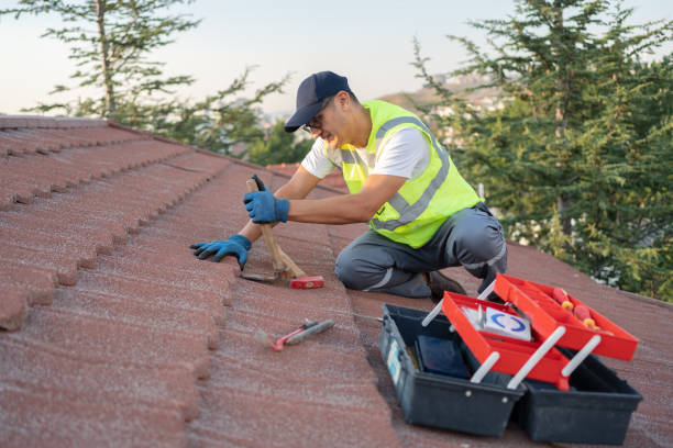 Best Roof Gutter Cleaning  in Countryside, VA